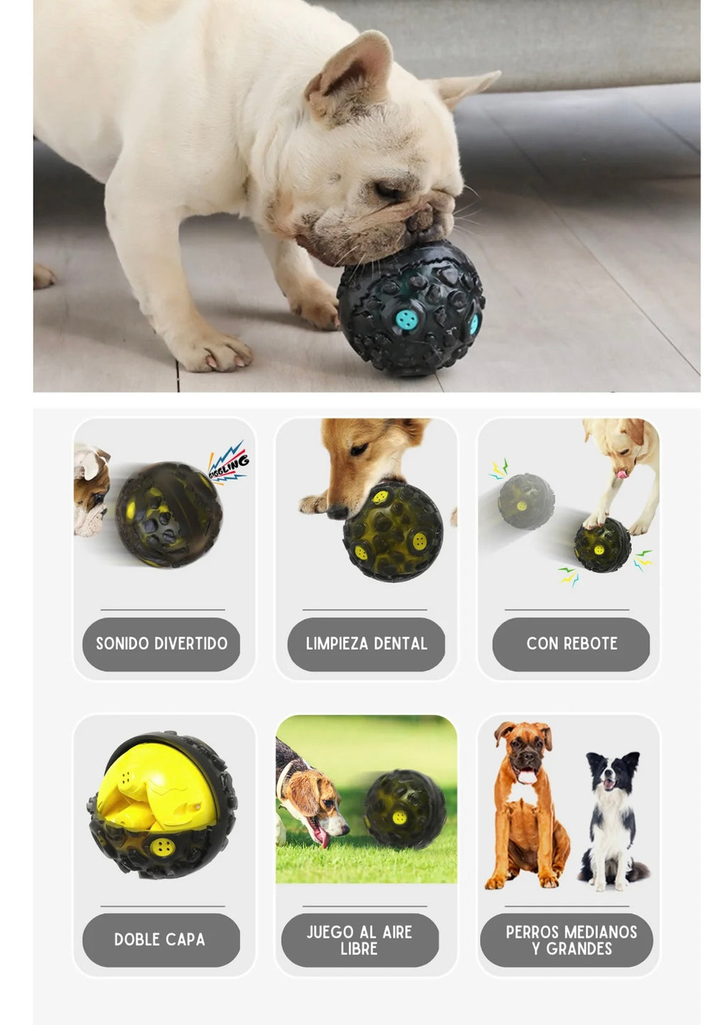 Pelota Interactiva Dental para Perros