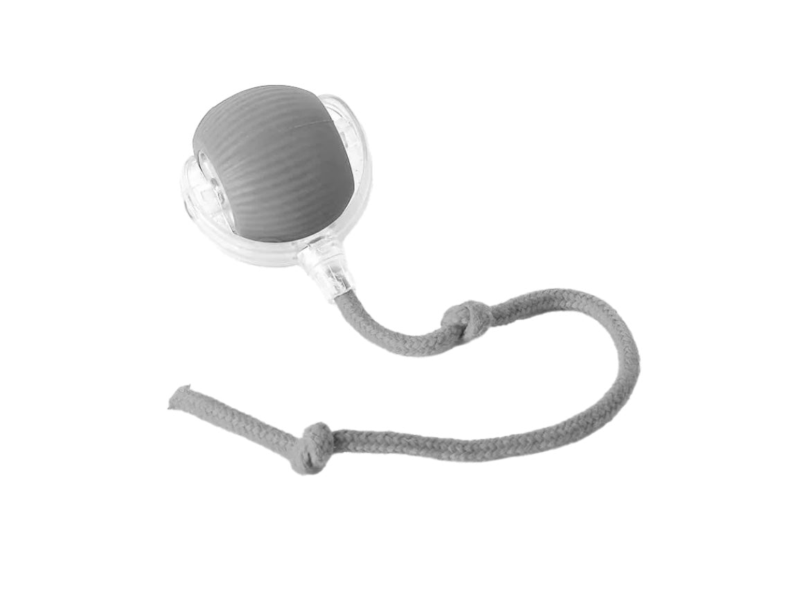 Pelota Interactiva Inteligente Recargable para Perros